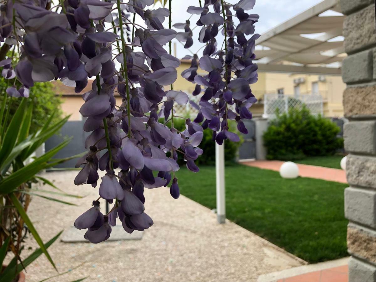 Guest house Garden Olbia