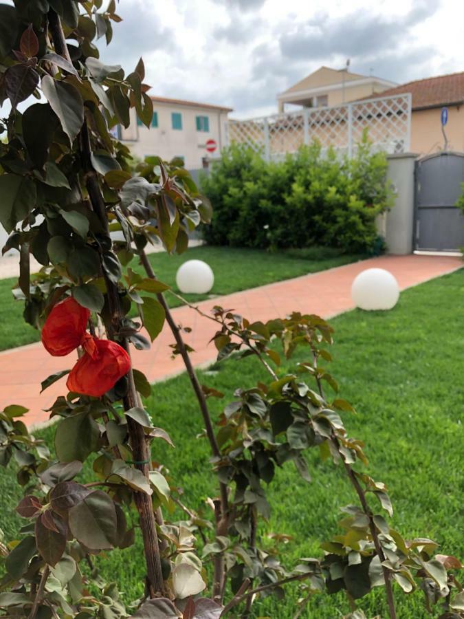 Guest house Garden